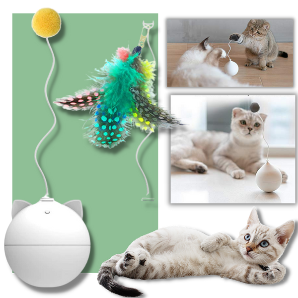 Cat Toy Ball With Auto-Roll Feature