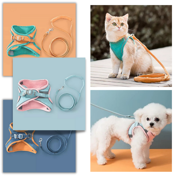 Pet Harness and Leash Set