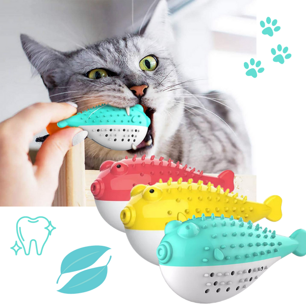 Fish shaped refillable cat toothbrush