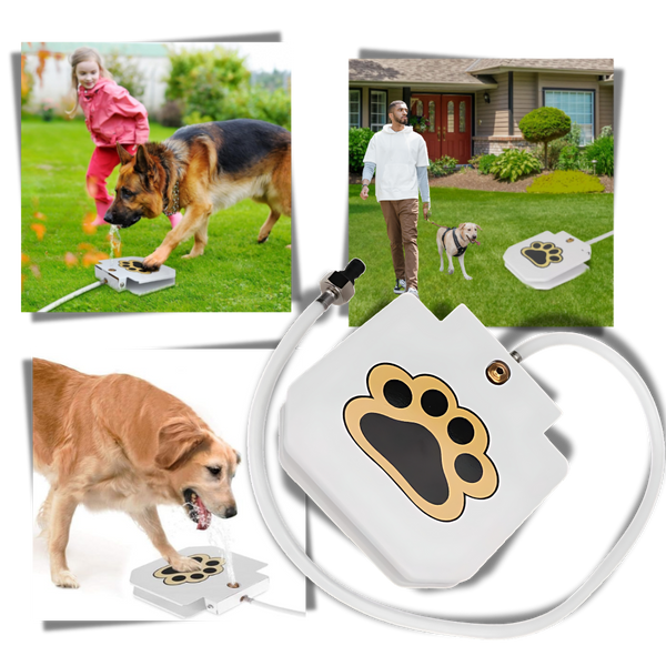 Paw Activated Dog Water Fountain