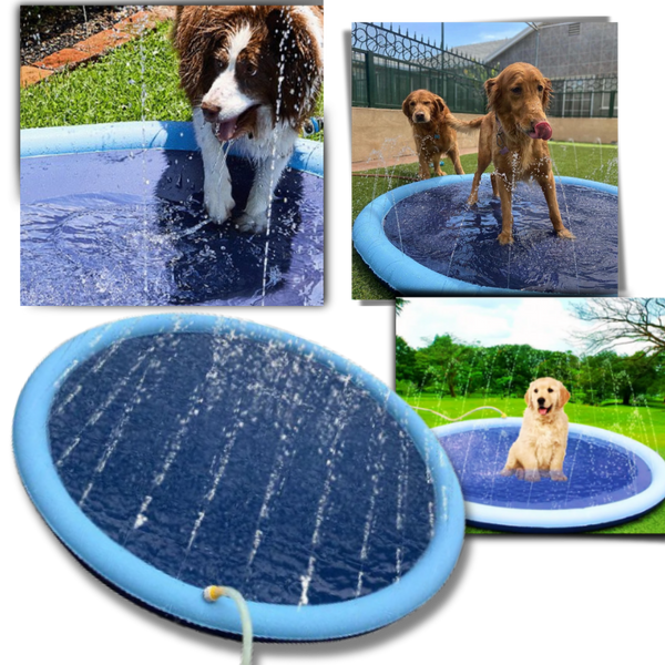 Portable Dog Splash Pad