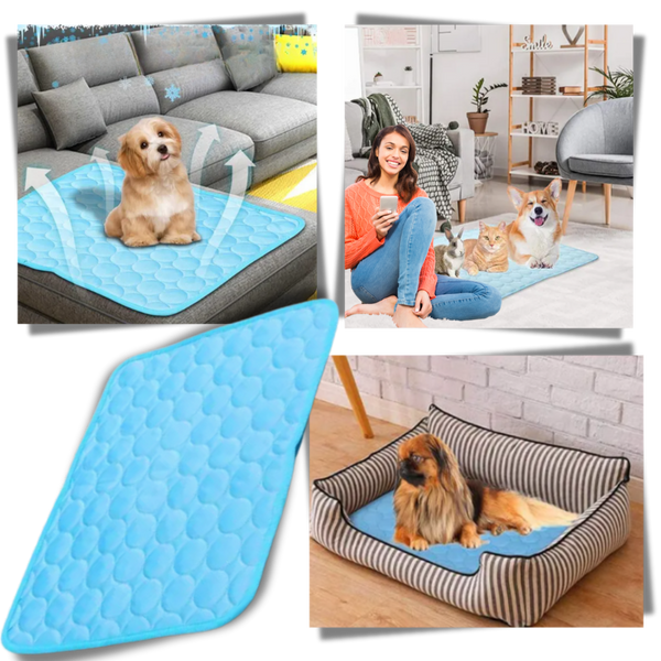 Silk Pet Cooling Pad